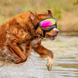 Goggles for Dogs - V2