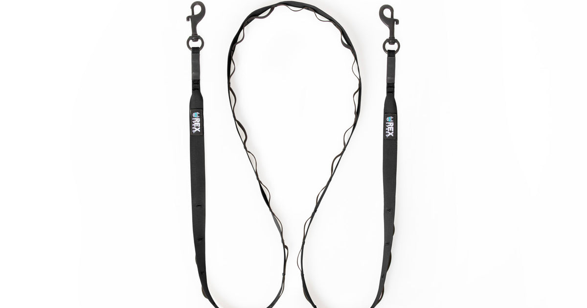 Trailhead Leash Dual Snap Rex Specs