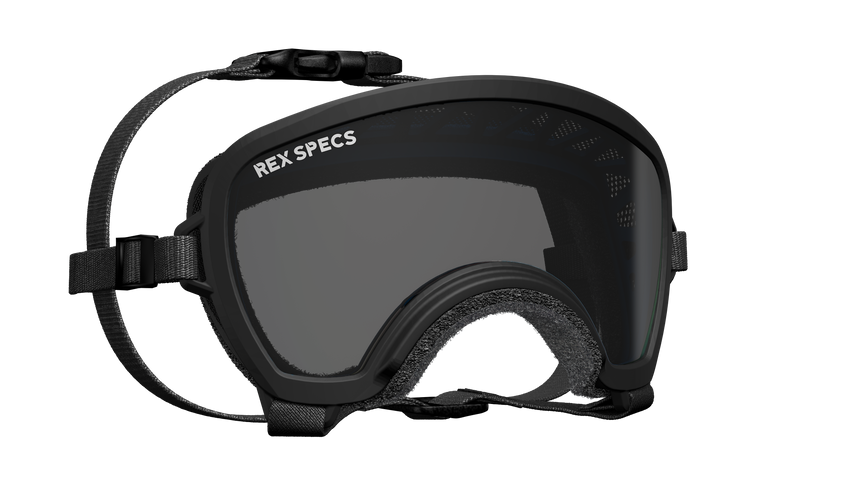 Goggles for Dogs - V2
