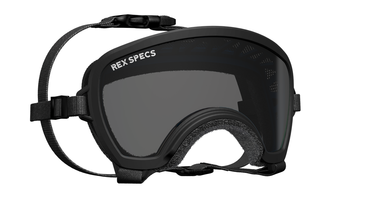 Small Wide Goggle The Perfect Fit for Dogs with Wider Faces Rex Specs